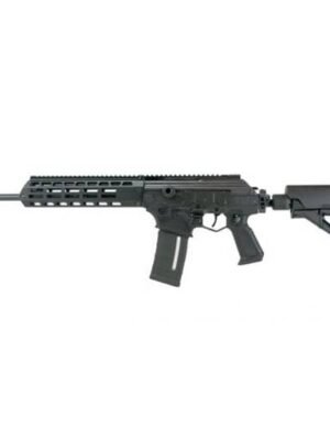 ae00-10806 IWI Galil Ace Gen 2 5.56 16" Barrel Folding Stock 30 Rounds - GAR27