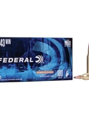 Federal Power Shok 243