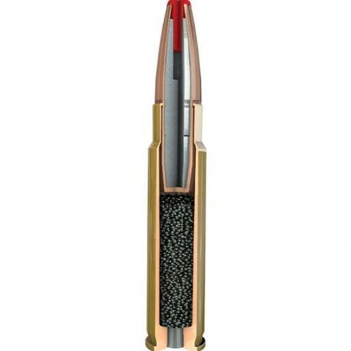 ae00-5043_2_ Hornady Subsonic 45-70
