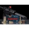 ae00-5043_3_ Hornady Subsonic 45-70