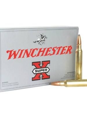 Winchester Super X 300 Win Mag