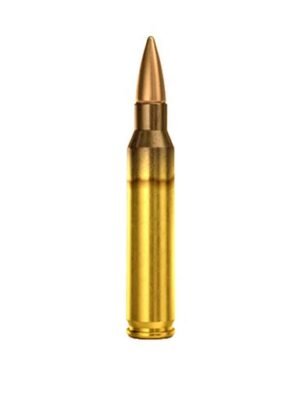 Magtech M193 556