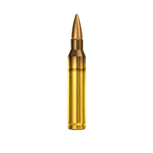 Magtech M193 556