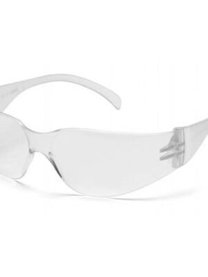 Pyramex Intruder Safety Glasses